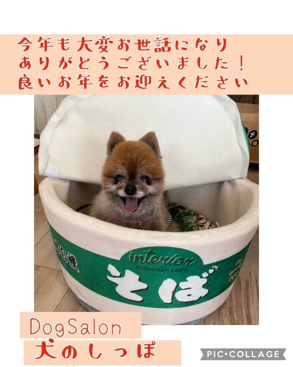 犬のしっぽ | LINE Official Account
