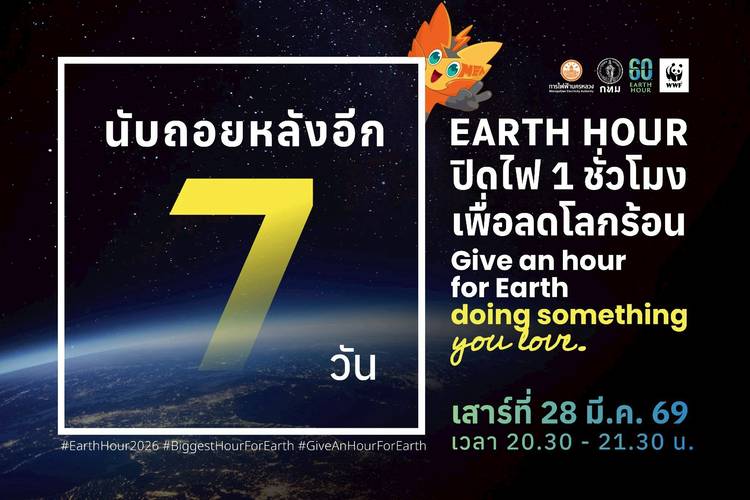Mixed media feed | MEA Connect | LINE Official Account