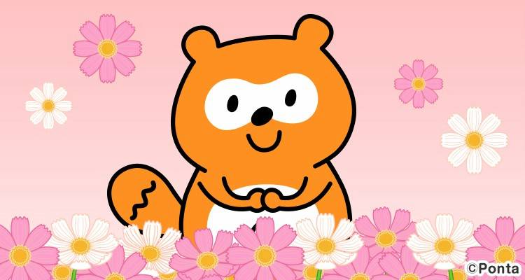 ポンタページ Zebra 800085-914 ID Card Laminate and Film - Barcodesinc.com