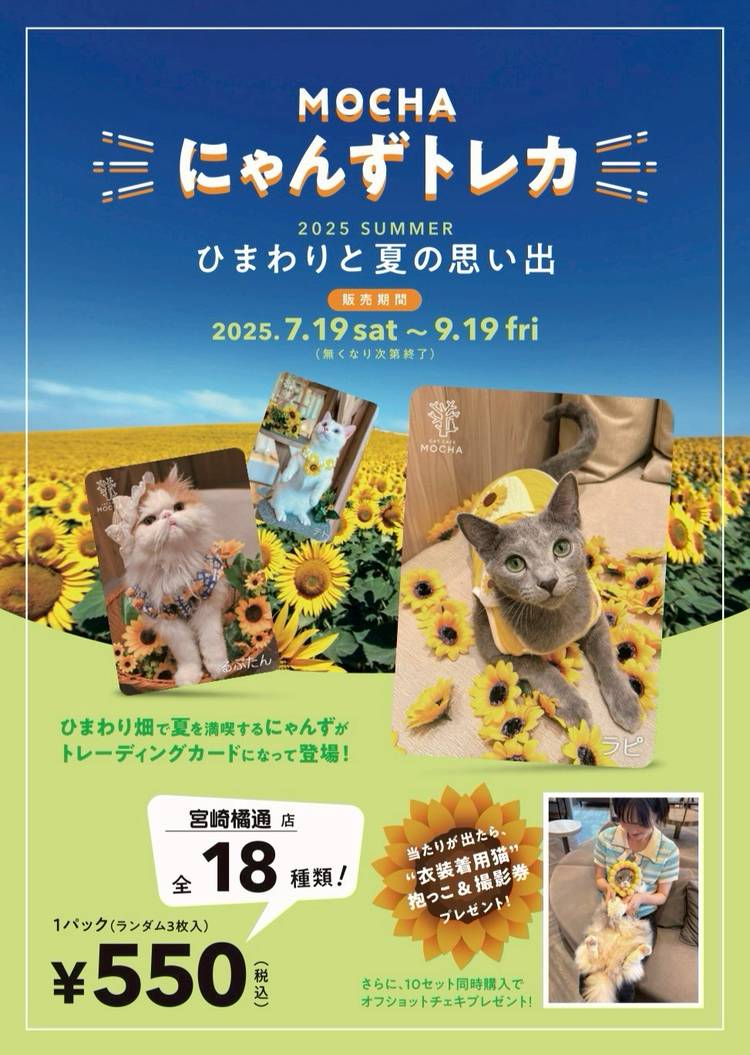 Mixed media feed | 猫カフェMOCHA 宮崎橘通店 | LINE Official Account