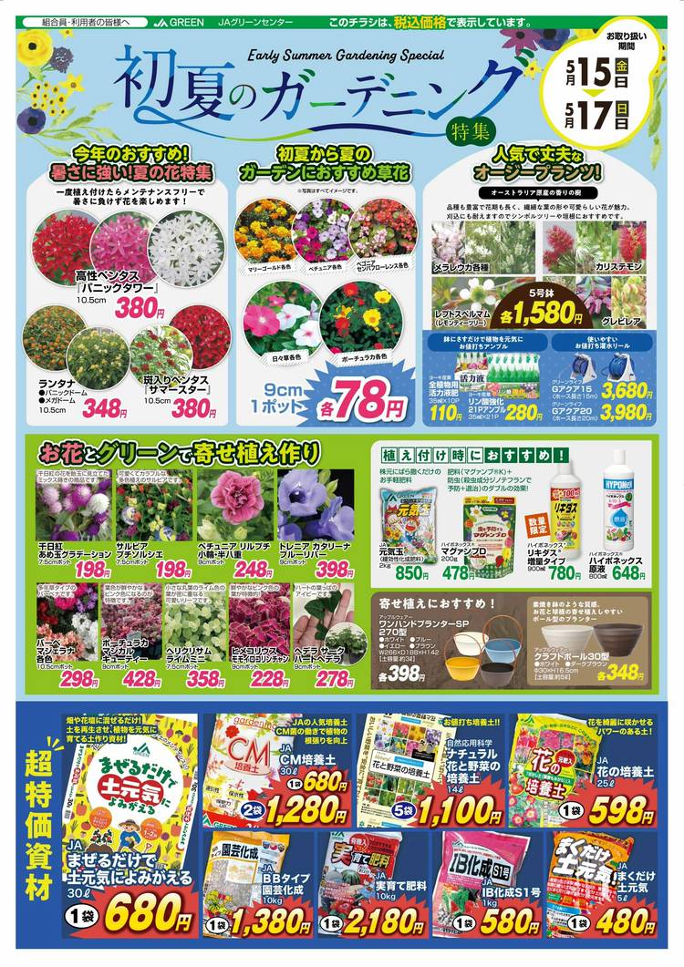 朽森紫苑　希少多数　まとめ売り 2024/06/14‐15 季節の山野草と錦葉珍品即売会です！ | 中越植物園website