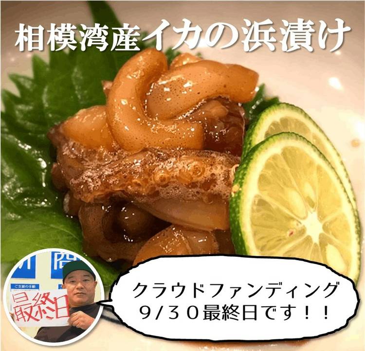Mixed media feed | 魚卓 茅ヶ崎本店 | LINE Official Account