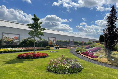 Dummen Orange Japan | LINE Official Account