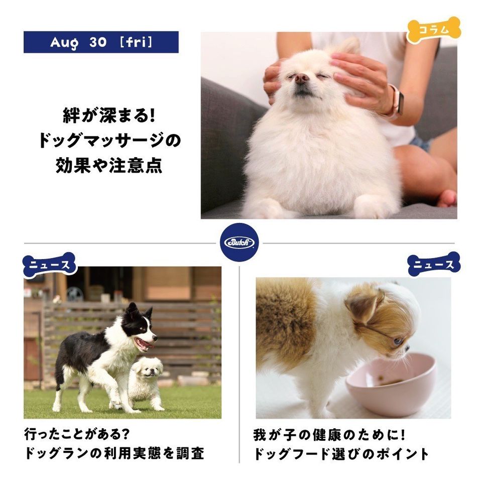 ハル クール便配送料込みブッチジャパン ブッチ・ジャパン／無添加ペットフード (@Butch_Japan) / X