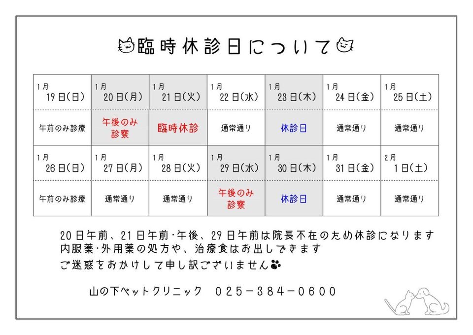 山の下 ペット 販売 クリニック