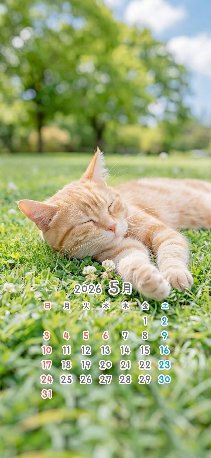 Mixed media feed | にゃーにゃー団 | LINE Official Account