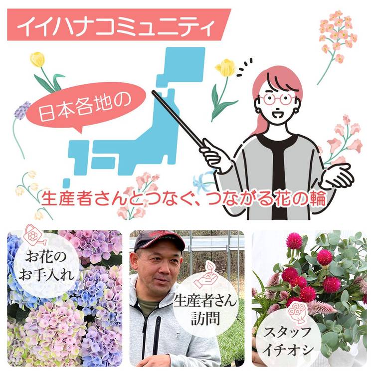 Mixed media feed | イイハナ・ドットコム | LINE Official Account