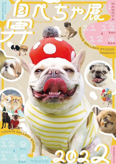 ♡パグ様ご確認♡ Pug shower | LINE Official Account