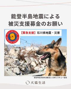 犬猫生活 | LINE Official Account