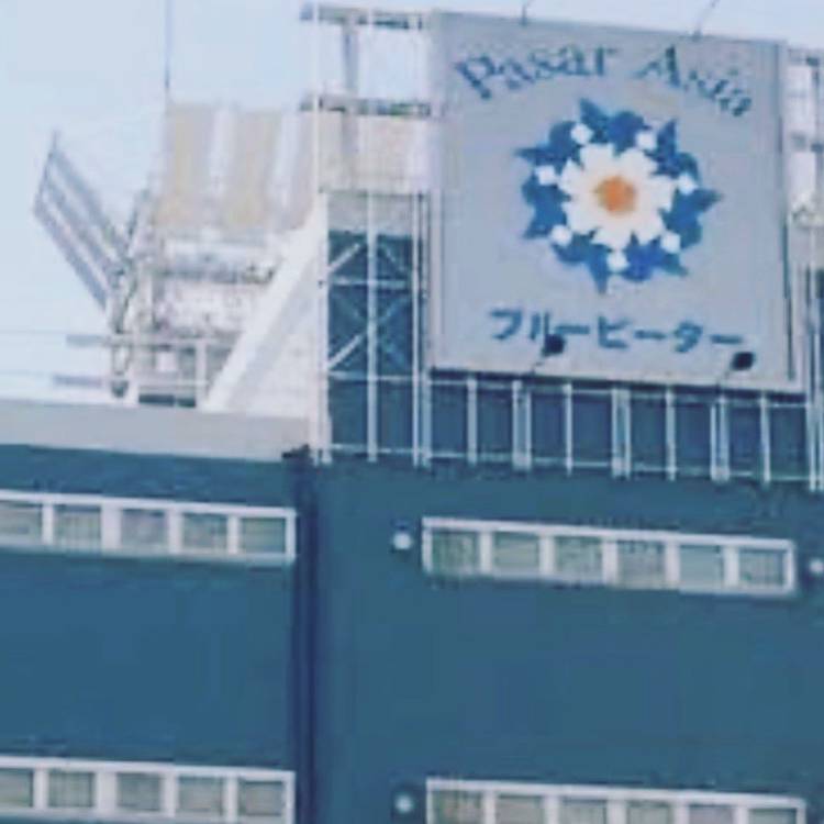 ❤️受注発注のご相談ページです❤️ PINOCCHIO｜株式会社アガツマ｜アンパンマンのおもちゃなど