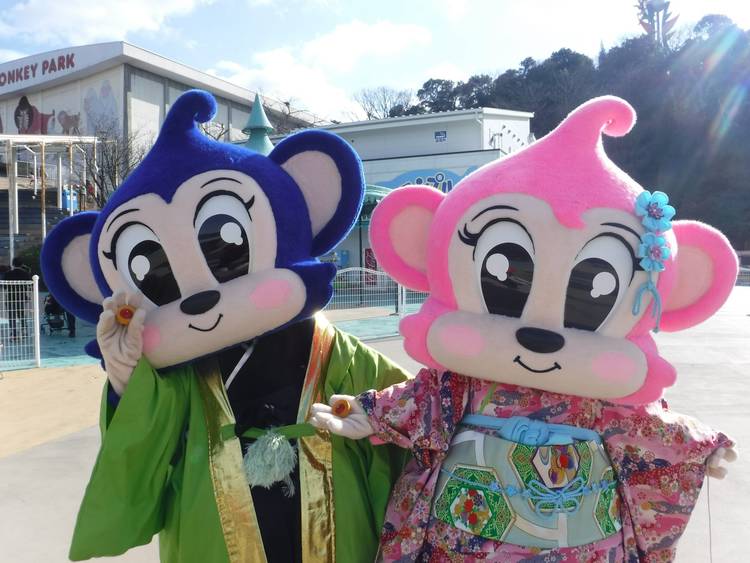 Mixed media feed | 日本モンキーパーク | LINE Official Account