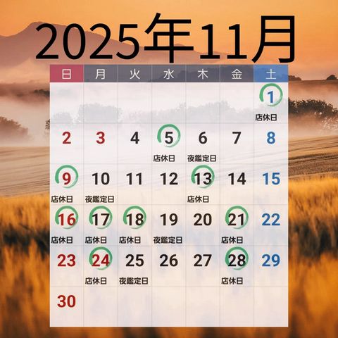 タロット占いConsoler | LINE Official Account