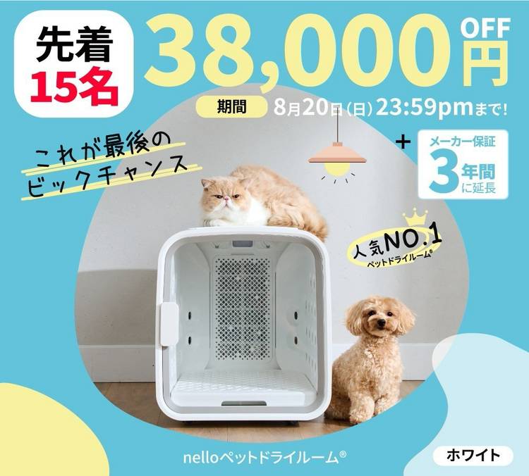 Mixed media feed | nello_japan | LINE Official Account