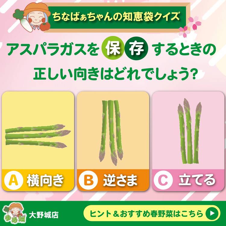 Mixed media feed | JA筑紫 ゆめ畑大野城店 | LINE Official Account