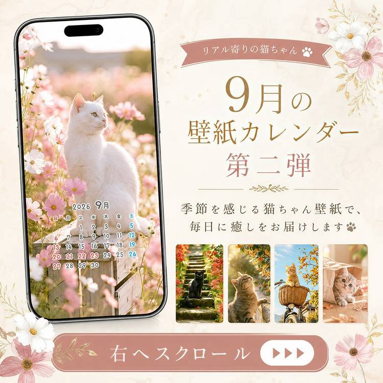 Mixed media feed | にゃーにゃー団 | LINE Official Account