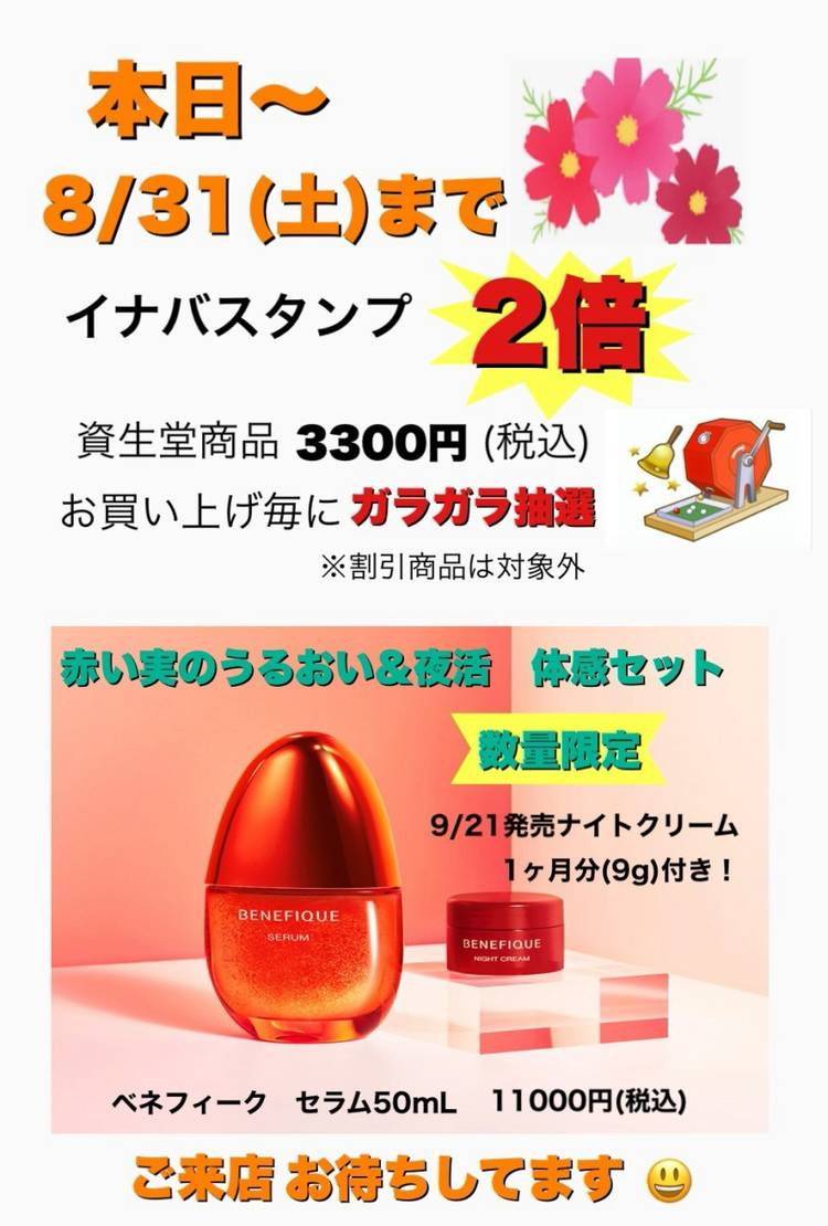 イナバ 化粧品 店 蒲田