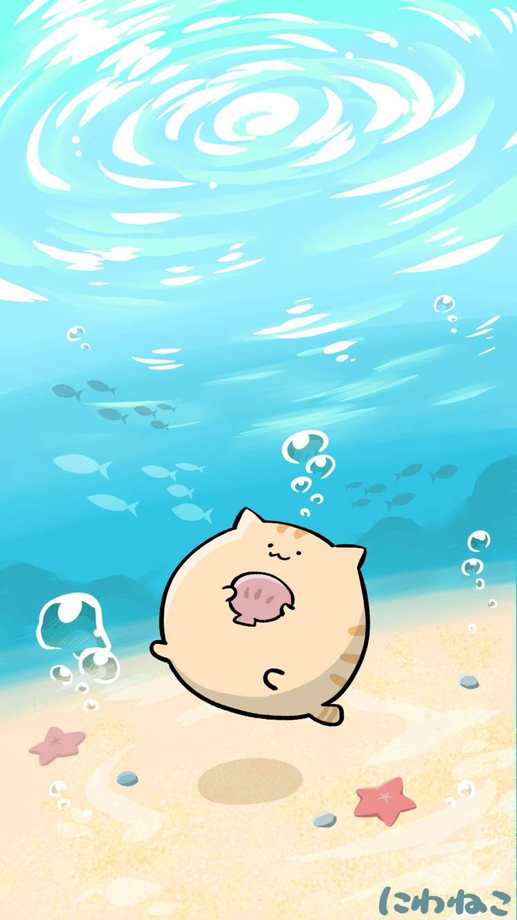 わねこ Mixed media feed | にわねこ | LINE Official Account