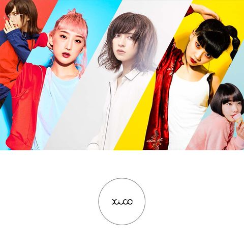 ヒーコＹ ヒーコ / XICO | LINE Official Account