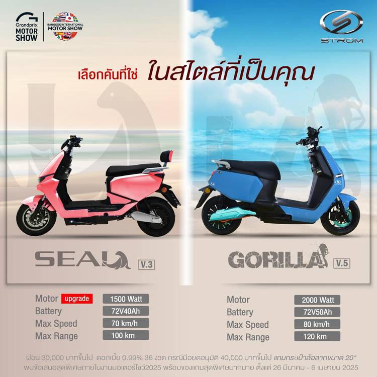 Mixed media feed | STROM THAILAND | LINE Official Account