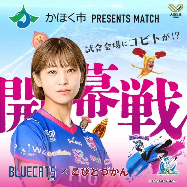 Mixed media feed | こびとづかん -こびと研究室- | LINE