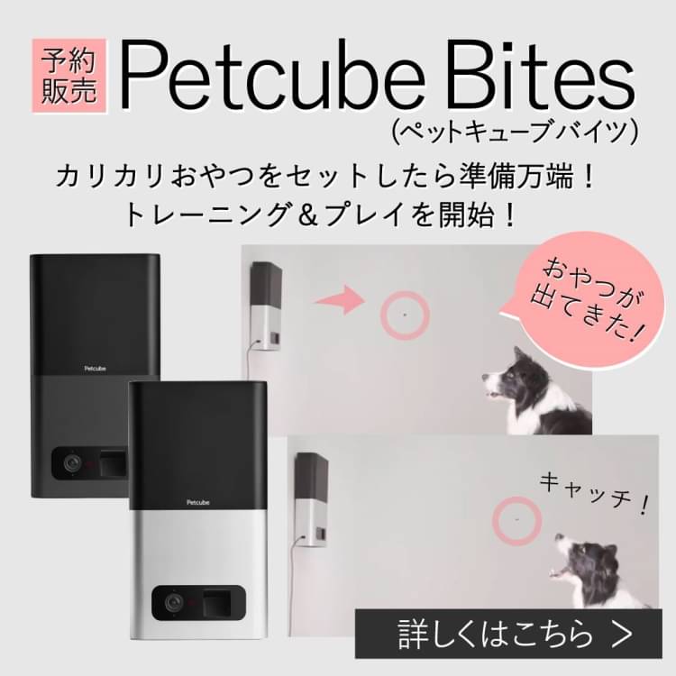 petcube イオンペット