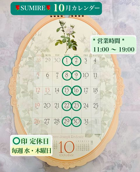 スミレ様ご確認用ページです。 サガミオリジナル 002 Lサイズ 10個 【管理医療機器