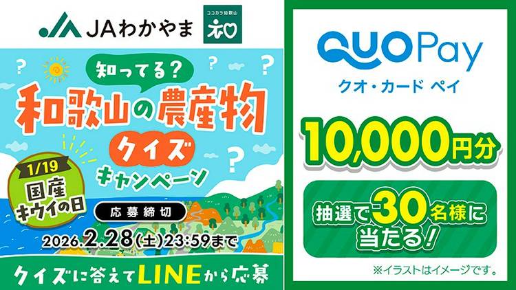 Mixed media feed | QUOカードPay | LINE Official Account