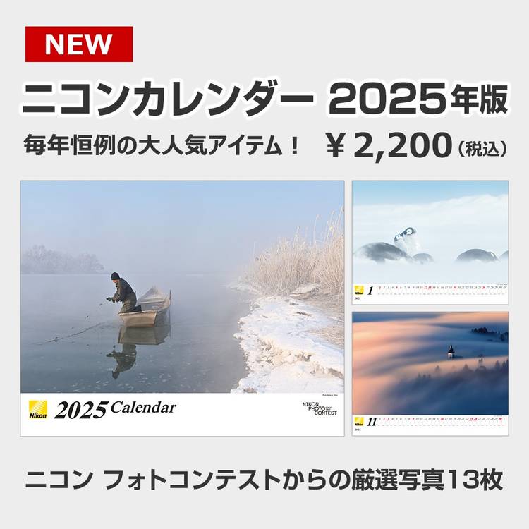 Mixed media feed | ニコンダイレクト | LINE Official Account Mixed media feed | ニコンダイレクト | LINE Official Account