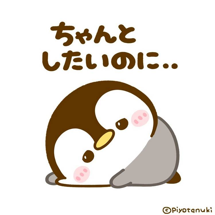 Mixed media feed | ぴよたぬき♡ | LINE Official Account