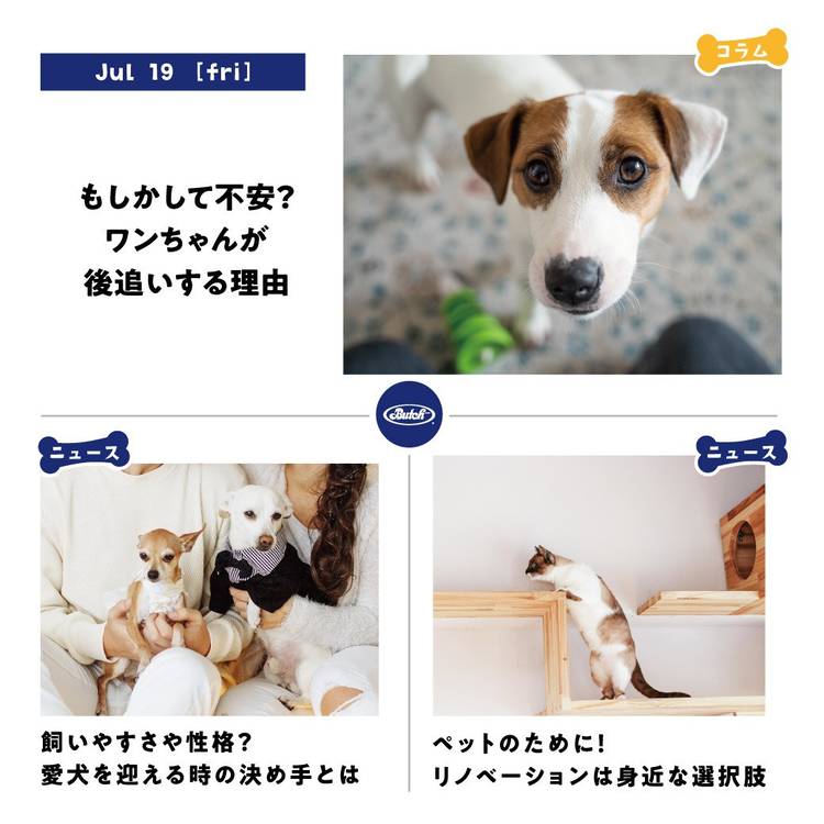 ブッチ・ジャパン | LINE Official Account