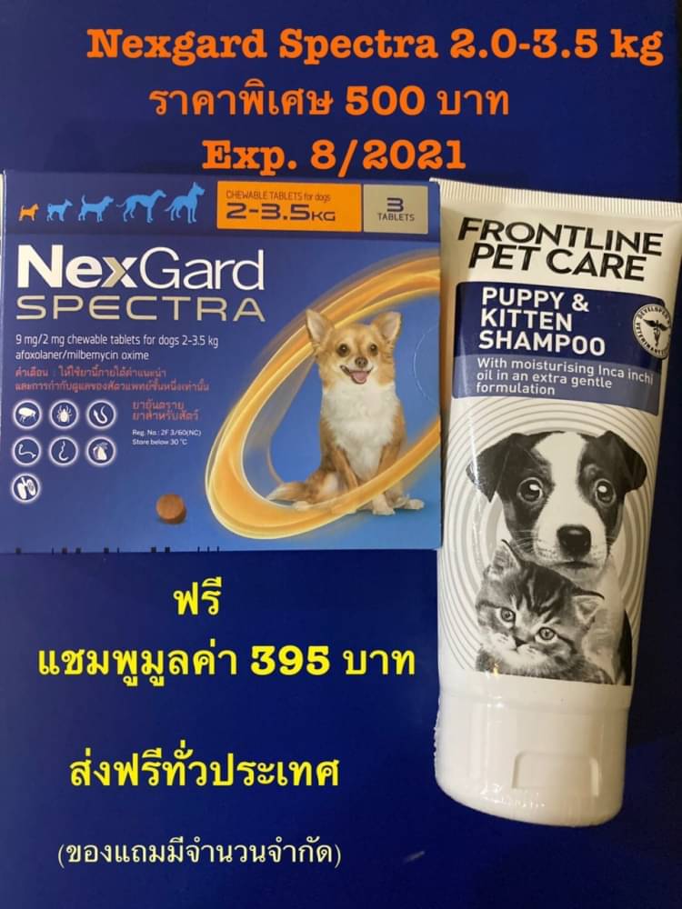 Nexgard spectra fashion pantip